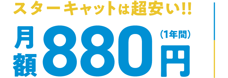 スターキャットは超安い！！月額880円