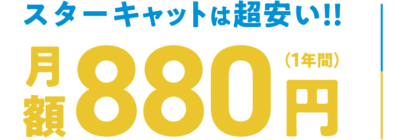 スターキャットは超安い！！月額880円