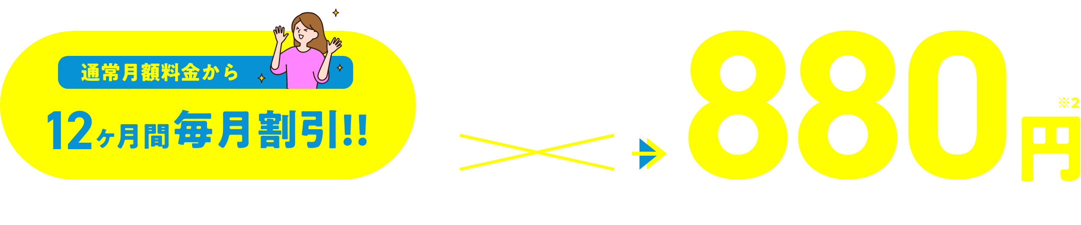 通常月額料金から12ヶ月間毎月割引！！