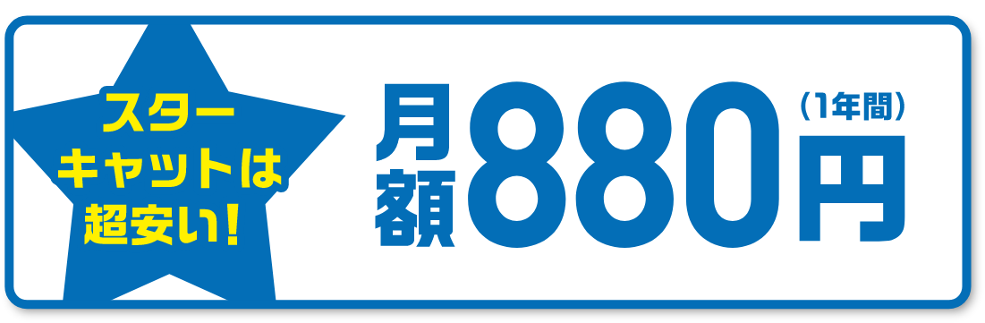 スターキャットは超安い！！月額880円（1年間）