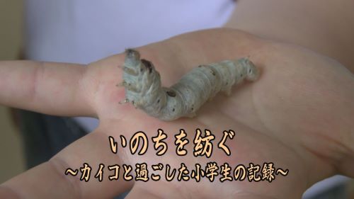 第48回日本ケーブルテレビ大賞番組アワード(2023年1月)_03