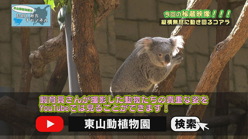 なごやのたのしみ方チャンネル なごやのたのしみ方チャンネル