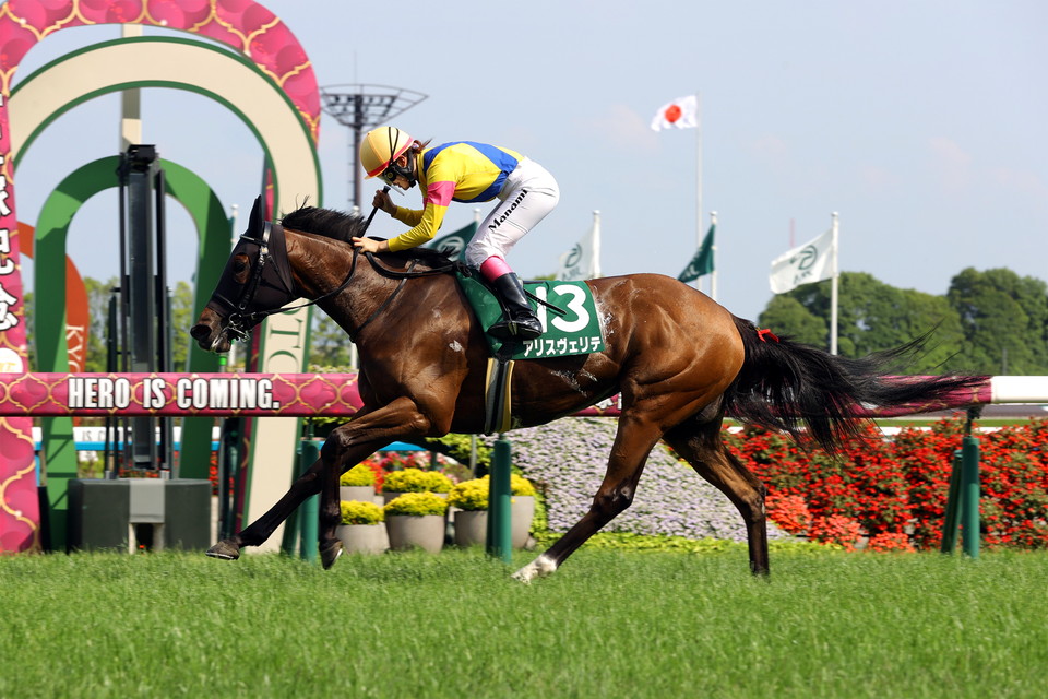 『中央競馬全レース中継/パドック中継』