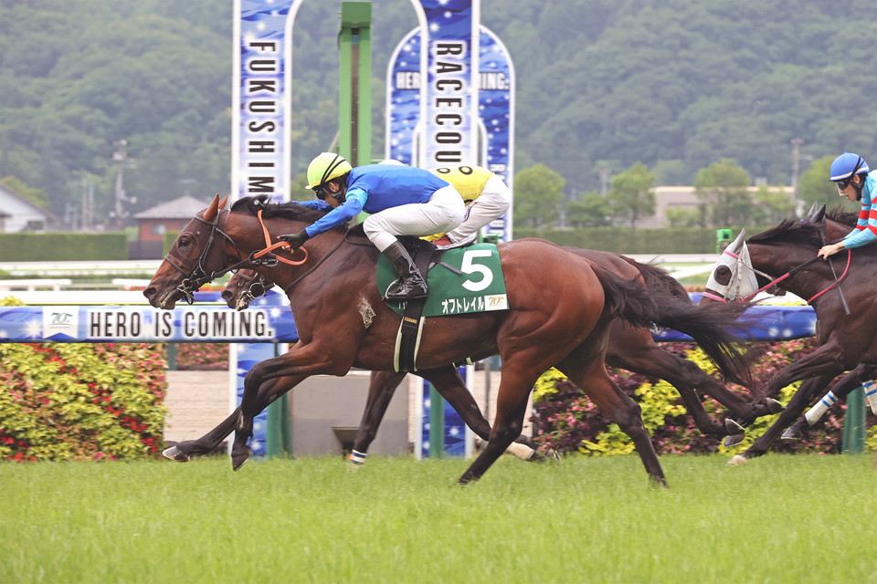 『中央競馬全レース中継/パドック中継』
