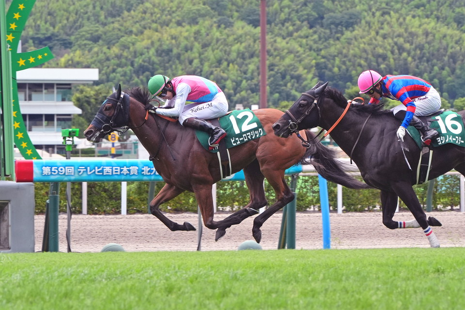 『中央競馬全レース中継／パドック中継』