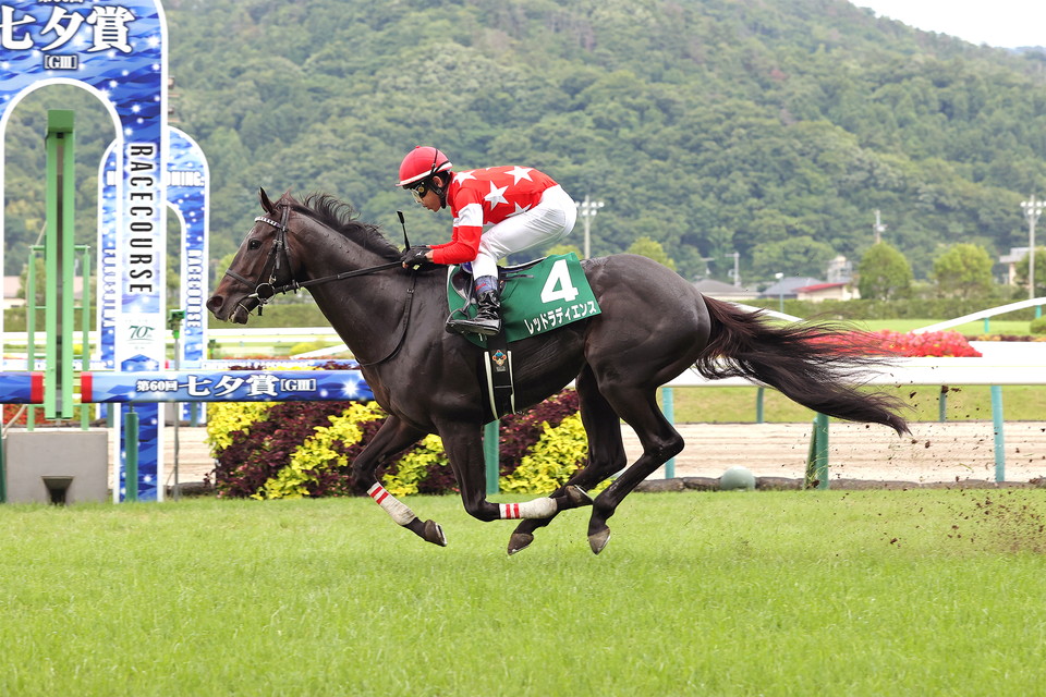 『中央競馬全レース中継／パドック中継』　
