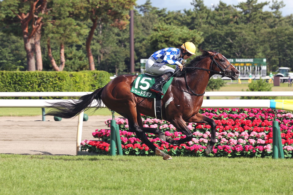 『中央競馬全レース中継／パドック中継』