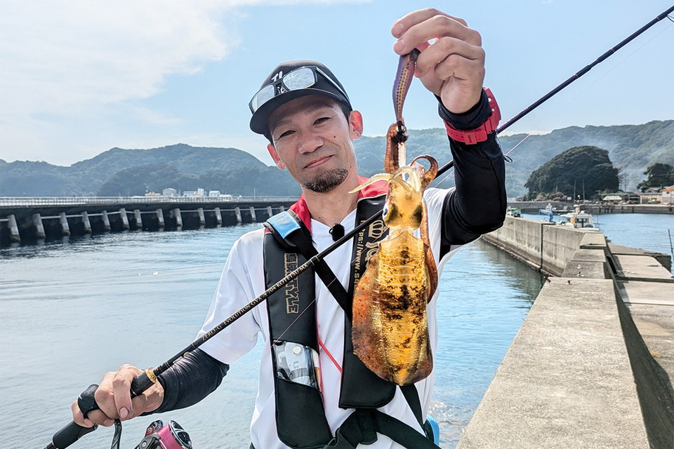 エギングが好っきゃねん！ 6　夏イカをオカッパリから攻略する