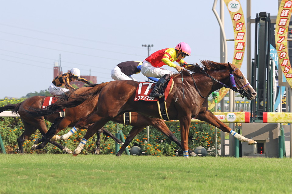 『中央競馬全レース中継／パドック中継』　