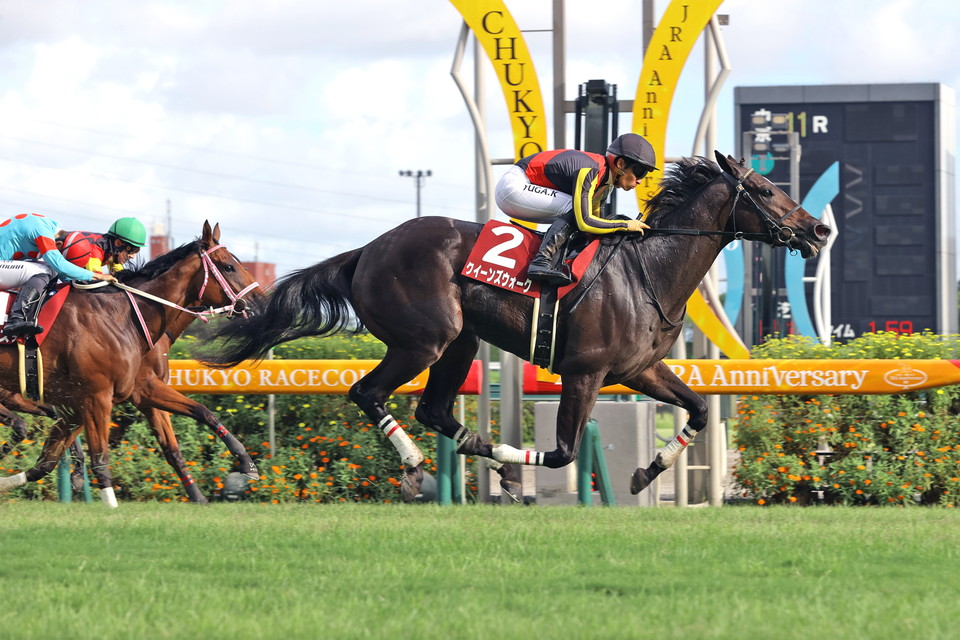 『中央競馬全レース中継／パドック中継』　