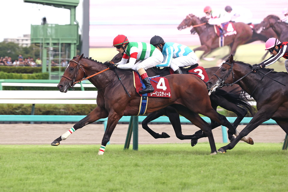 『中央競馬全レース中継／パドック中継』　