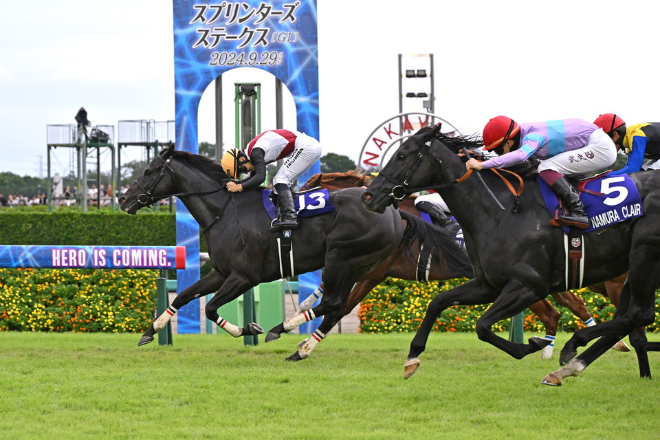 『中央競馬全レース中継／パドック中継』