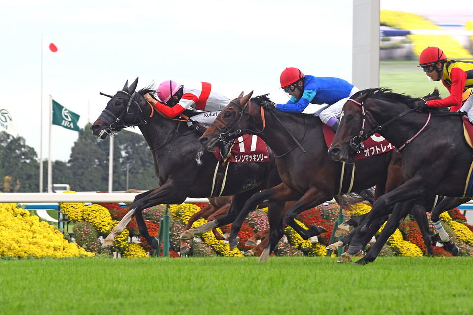 『中央競馬全レース中継』　