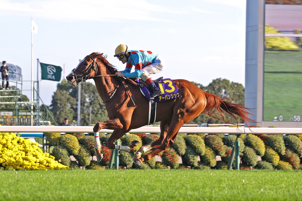 『中央競馬全レース中継』／パドック中継』