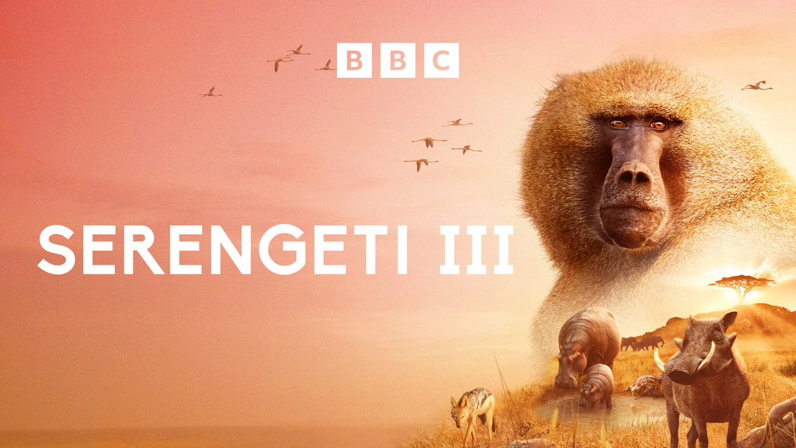 BBC超大作 セレンゲティ物語 シーズン3