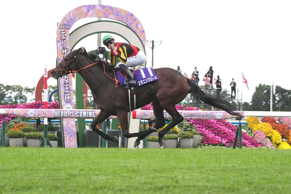 『中央競馬全レース中継/パドック中継』