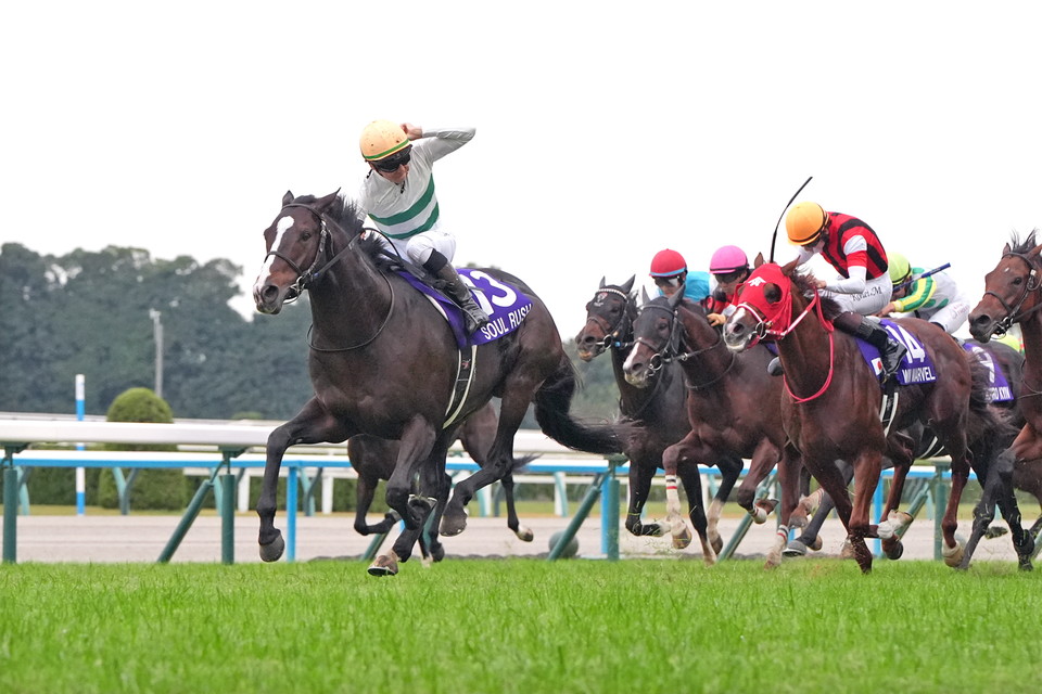 『中央競馬全レース中継』