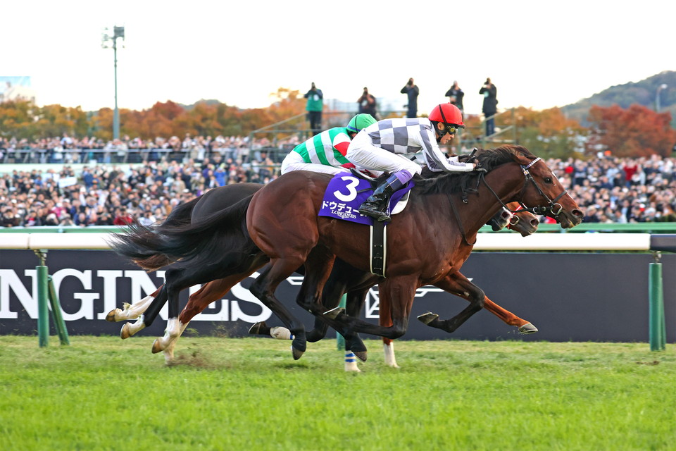 『中央競馬全レース中継』
