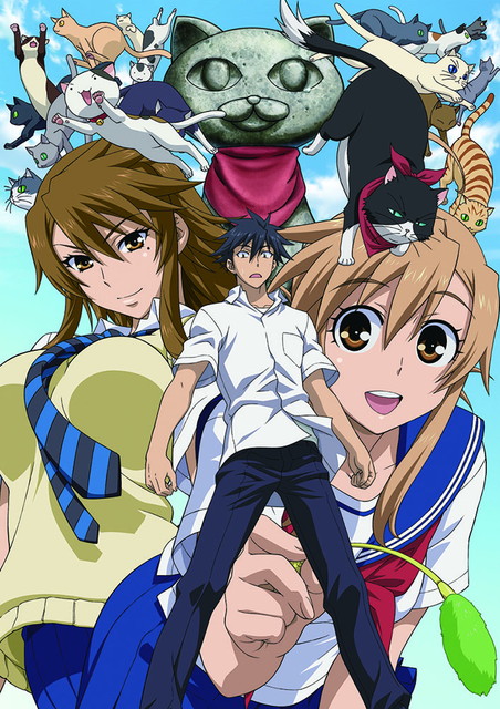 『にゃんこい！　パッケージ版』