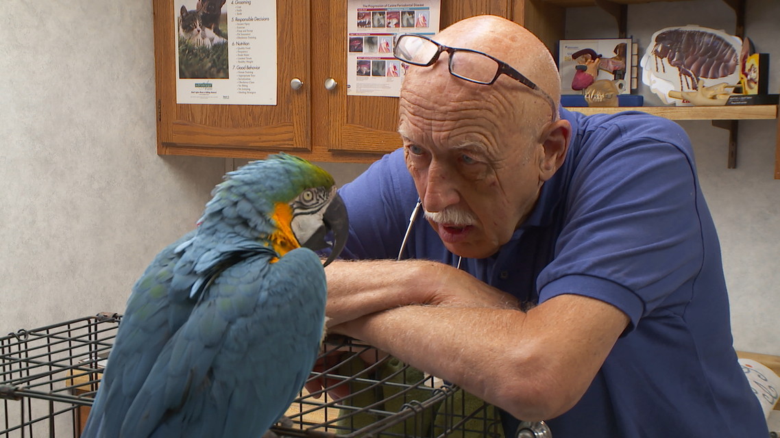 スゴ腕どうぶつドクター 総集編４