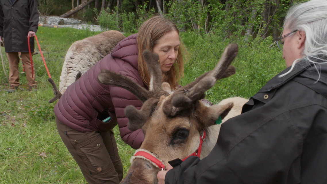 獣医ミシェルのクリスマス・スペシャル【吹替版日本初放送】