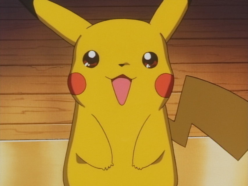 ピカチュウのふゆやすみ