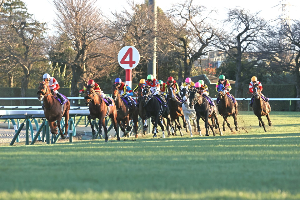 『中央競馬全レース中継』　