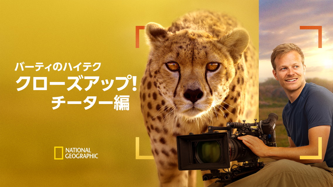 バーティのハイテク・クローズアップ！チーター編