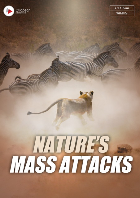 すご腕アニマル！