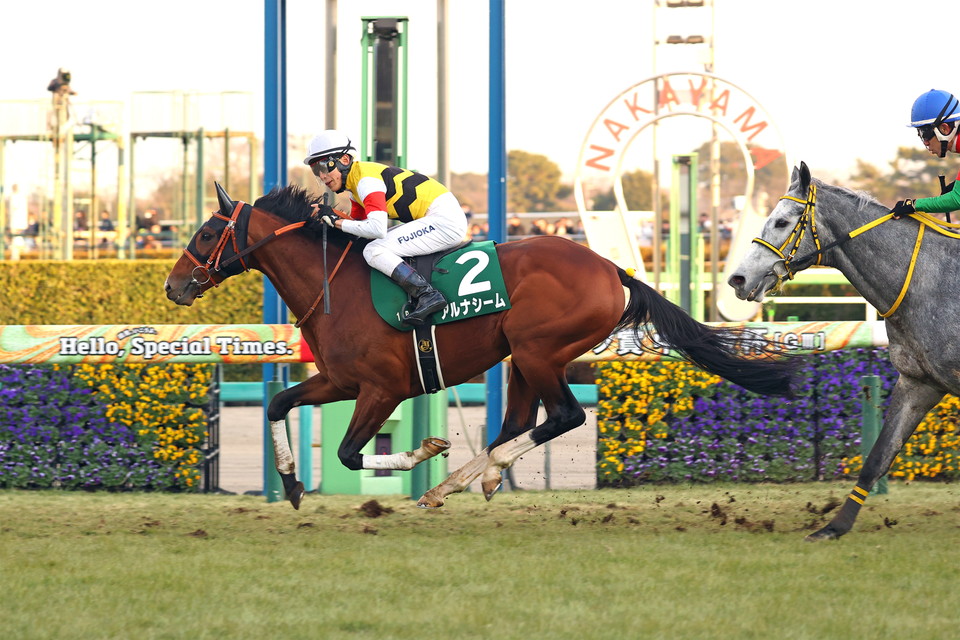 『中央競馬全レース中継』