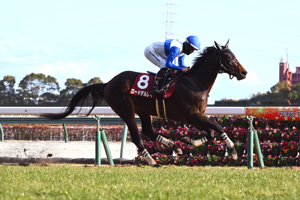 『中央競馬全レース中継』　