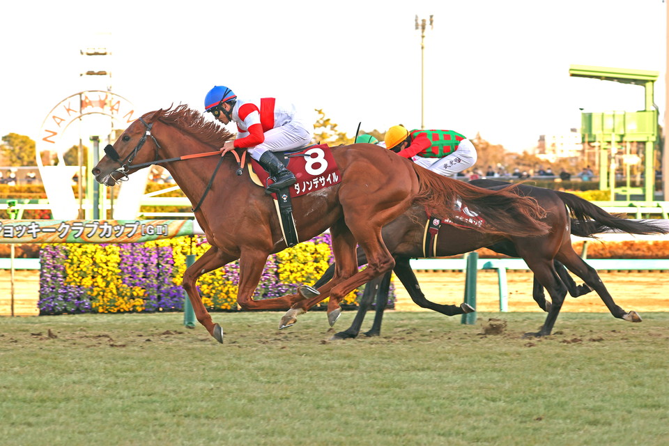 『中央競馬全レース中継／パドック中継』　