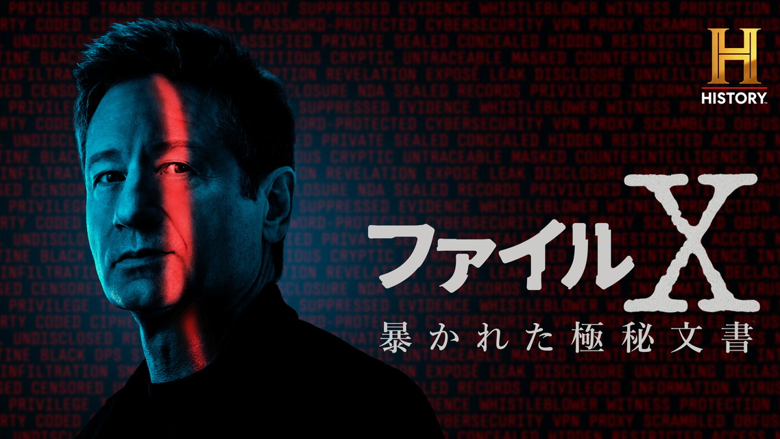 ファイルX：暴かれた極秘文書 