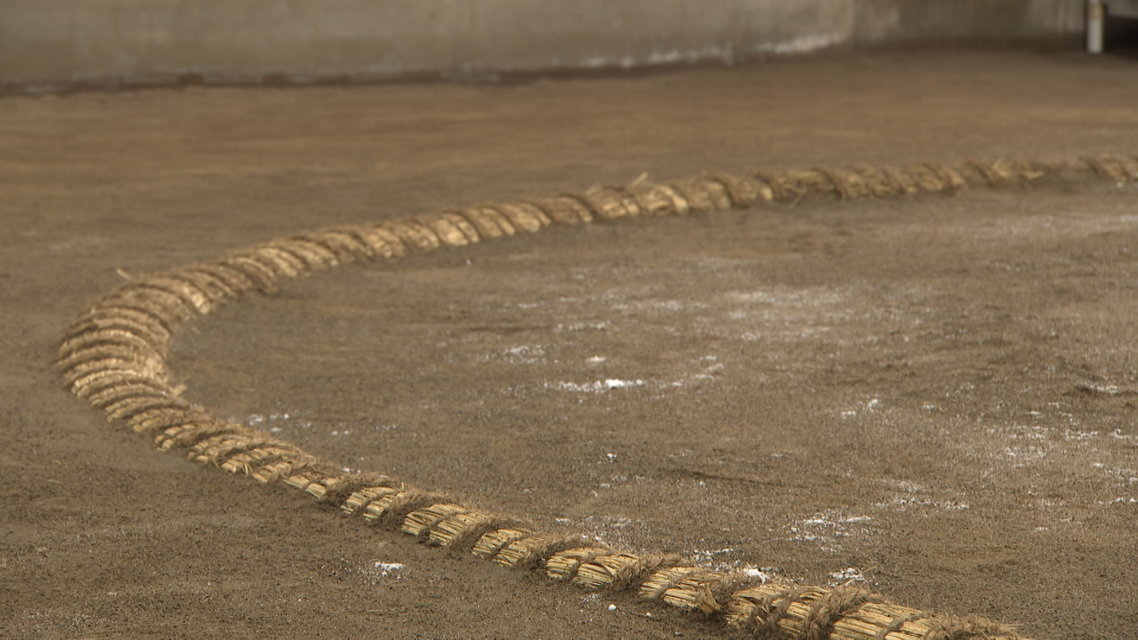 相撲の原点は稽古にあり～大相撲　出羽海一門連合稽古～