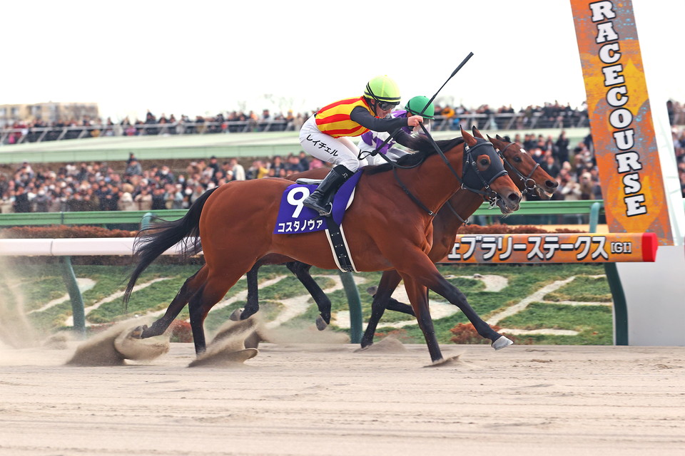 『中央競馬全レース中継／パドック中継』　