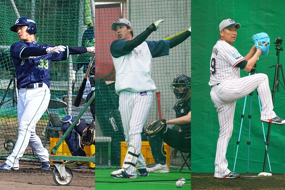 SWALLOWS CAMP L!VE ２０２６