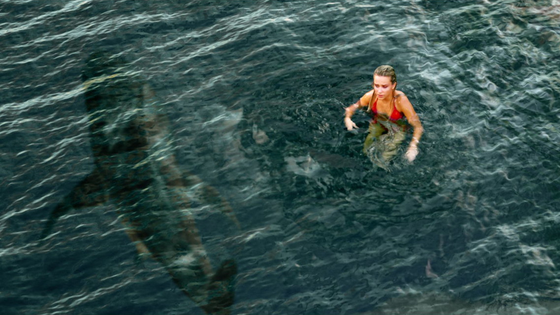 『ホワイトシャーク　湖の水面の下に』