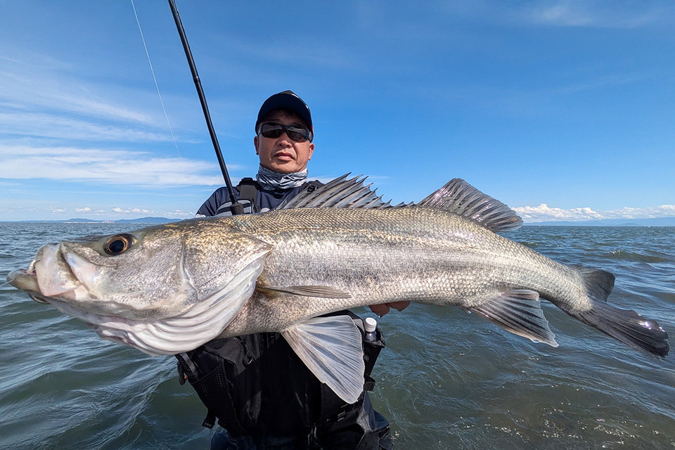 シーバス無双 13　孤高のアングラー・宮崎幸周が有明海のスーパーランカーシーバスに挑む