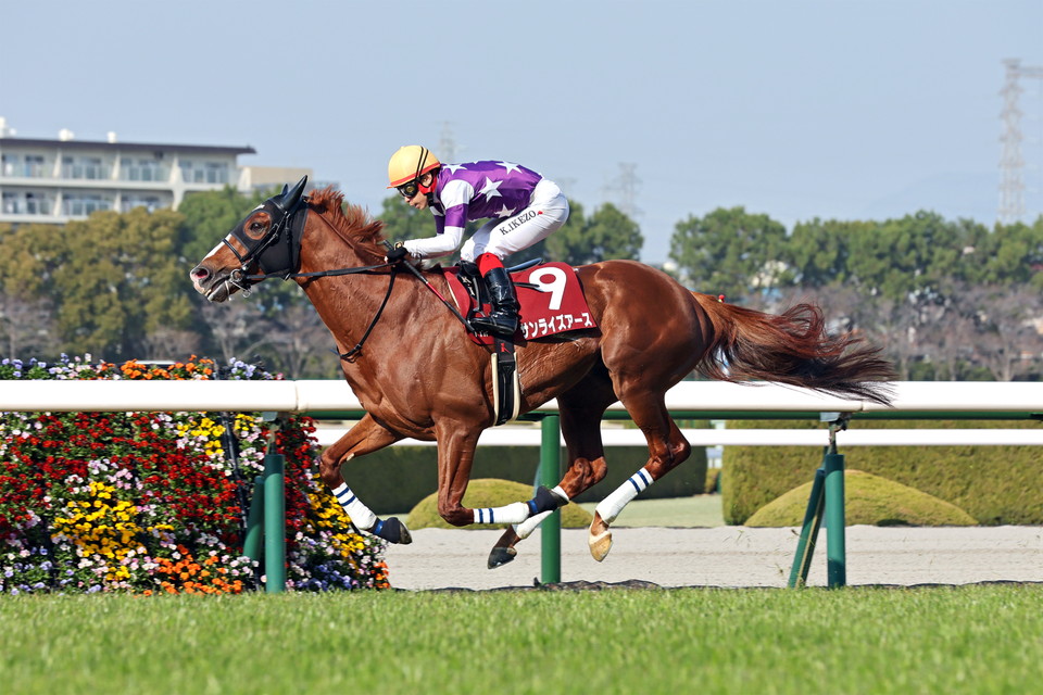 『中央競馬全レース中継／パドック中継』