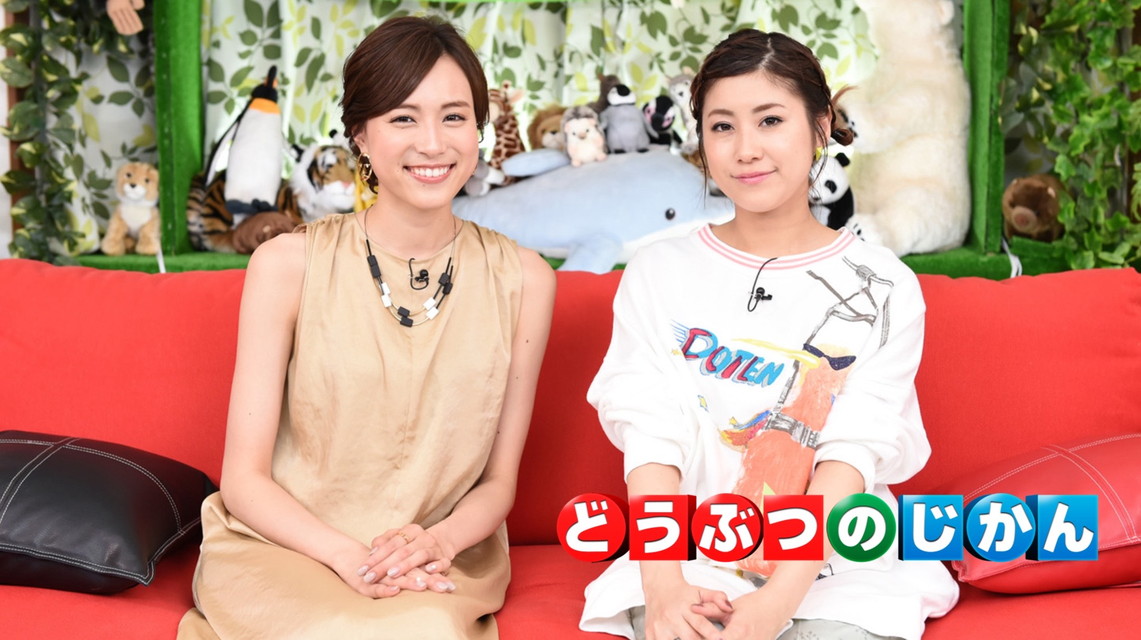 かわいいアニマル大集合！どうぶつのじかん