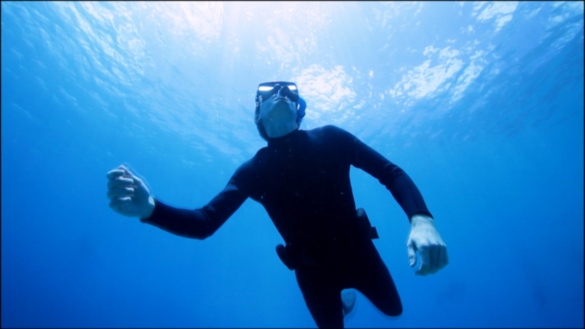 動物襲撃の瞬間 シーズン2