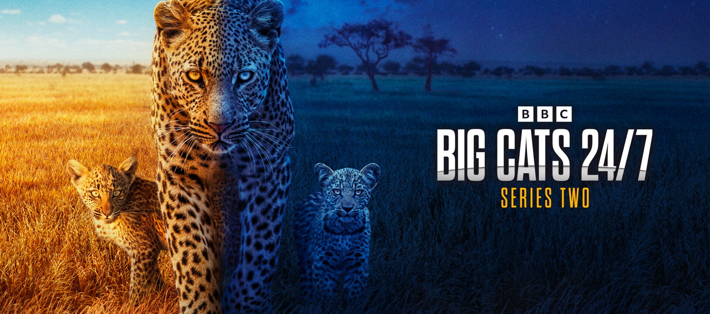 BBC超大作 ビッグキャット24時 シーズン2