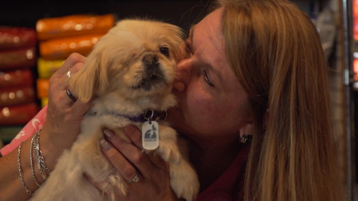 デンバー動物クリニック シーズン4