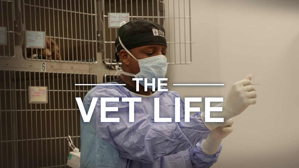 【吹替版】テキサス獣医 奮戦記 シーズン3