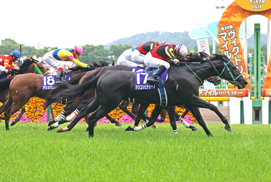 『中央競馬全レース中継／パドック中継』　