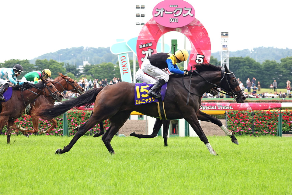 『中央競馬全レース中継／パドック中継』　