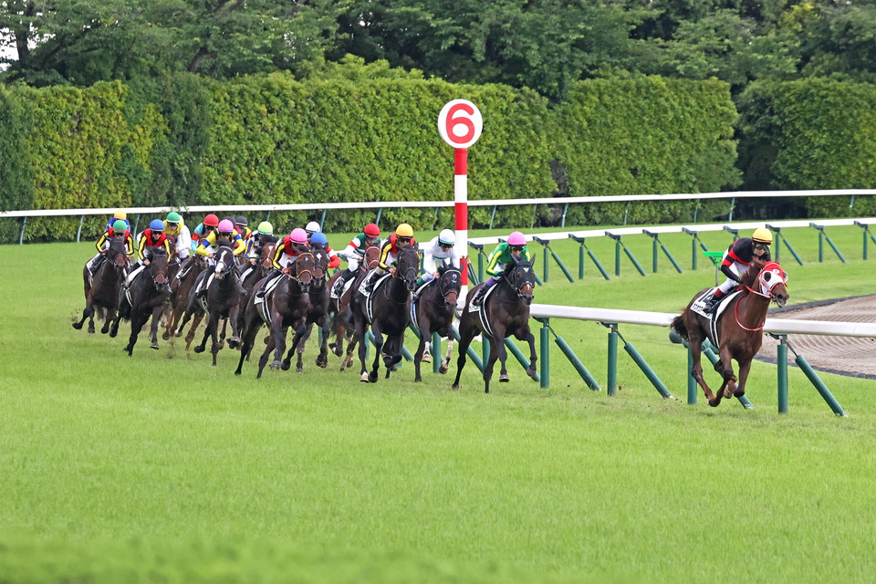 『中央競馬全レース中継』　※サイマル放送