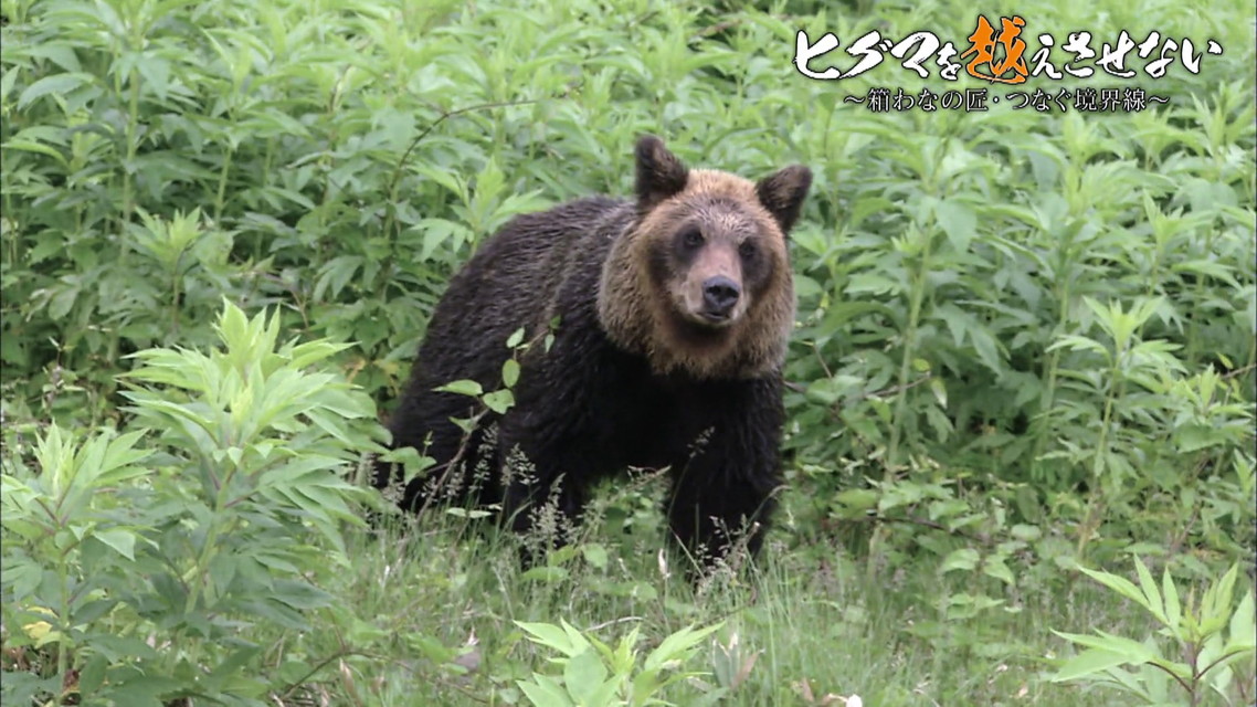 「日経アーカイブス」