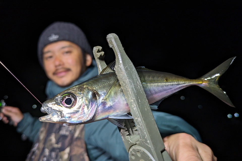 Azing Lab.2nd 78　番組初のサーフアジング！手軽に楽しむ釣り＆キャンプを紹介
