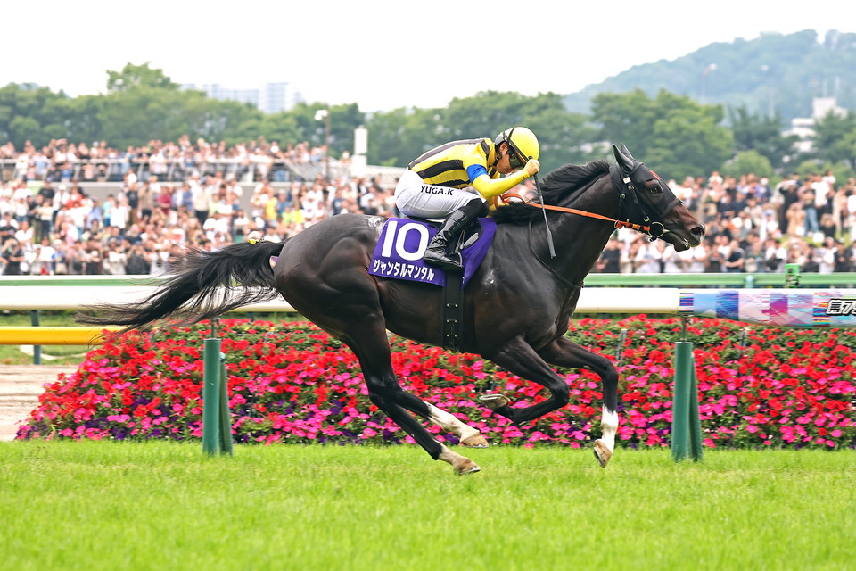 『中央競馬全レース中継』※サイマル放送